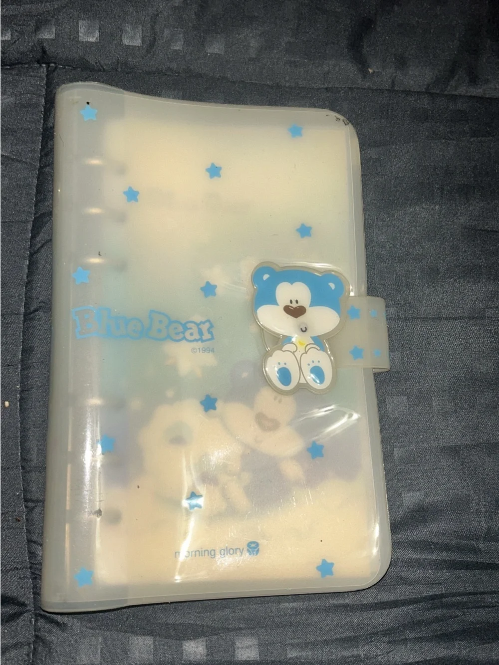 Blue Bear Decorative Plastic Binder Folder - Blue